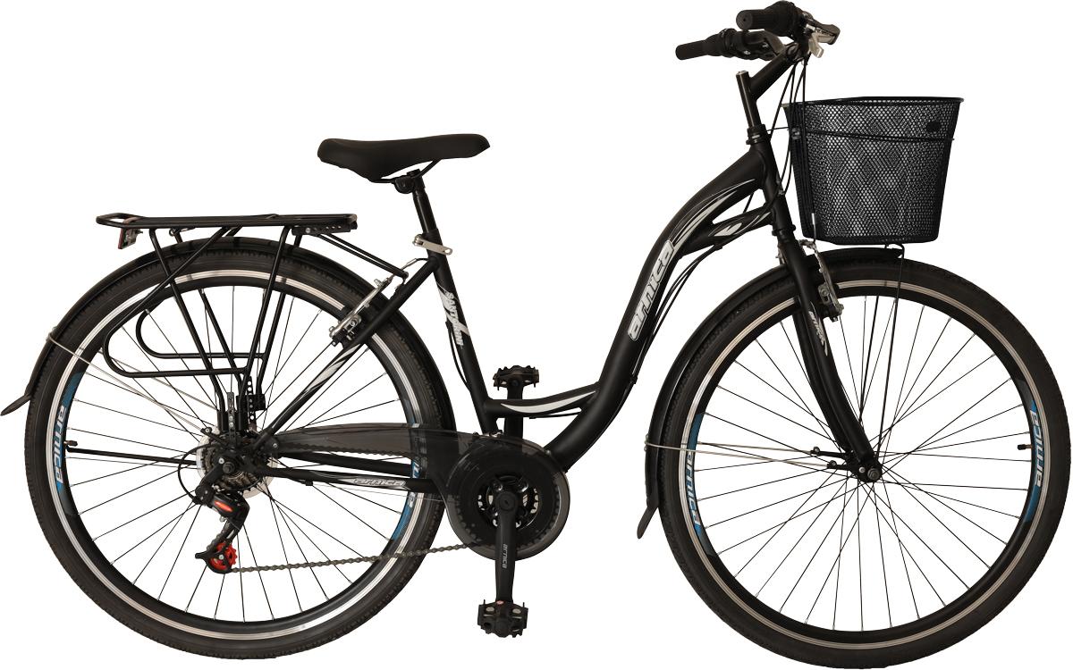 ARNICA SANTORINI 24J, 26J, 28J